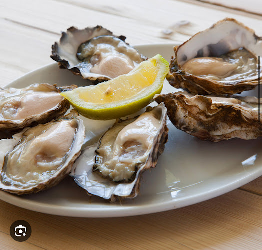 Civette Nouvelle France