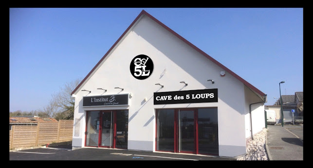 CAVE des 5 LOUPS - Location POMPE à BIERE