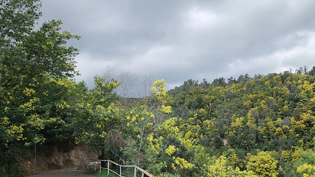 Comentarii opinii despre Restaurant La Famiglia Junior