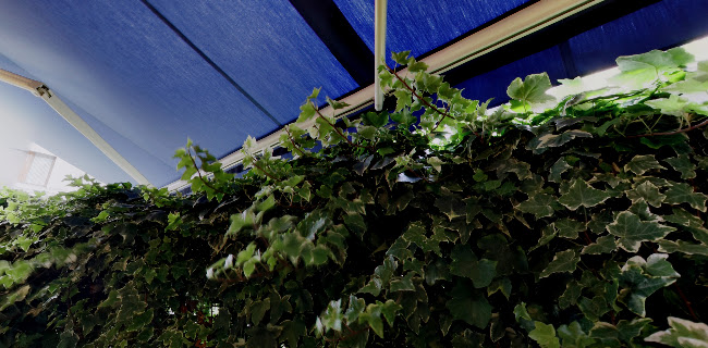 Antonia - Le Clan des Mamma, Pizzas & Cocktails - Le Mans - Le Mans