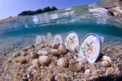 Frinsa La Conservera Paris