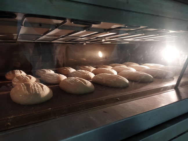 40 Rue Bourrely, 34000 Montpellier