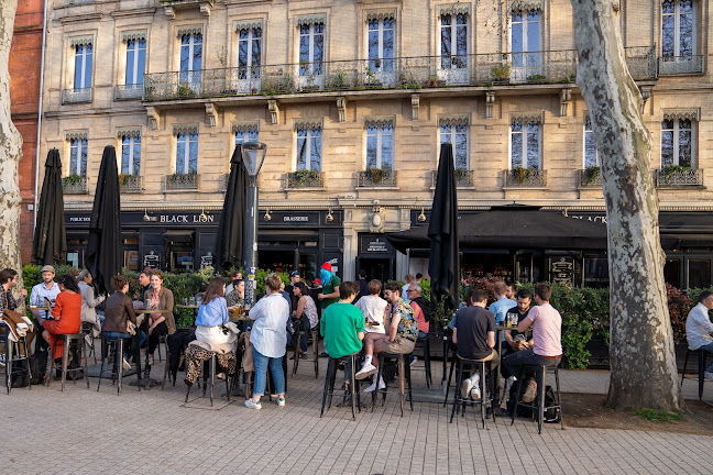 Comentarii opinii despre The Black Lion