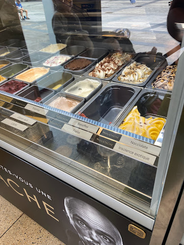 Glaces Moustache-Artisan Glacier - Restauration