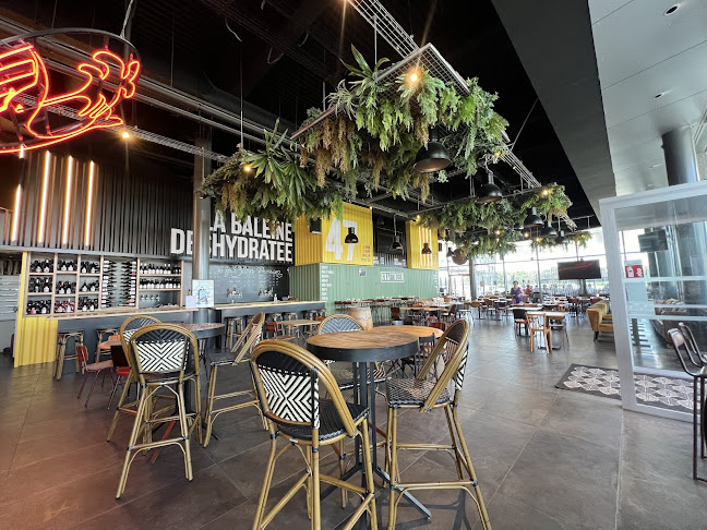 La Baleine Déshydratée