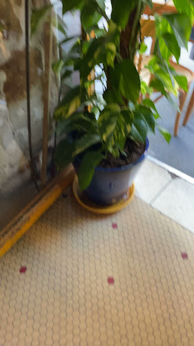 Opinii despre Brakadabar în Paris - Restauration