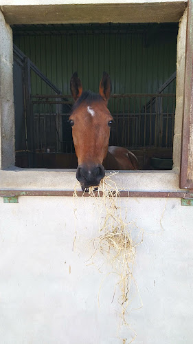 Home Cooking Restaurant - Traiteur - Brazey-en-Plaine