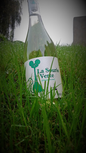 Opinii despre 37 sur Vins în Notre-Dame-d'Oé - Restauration