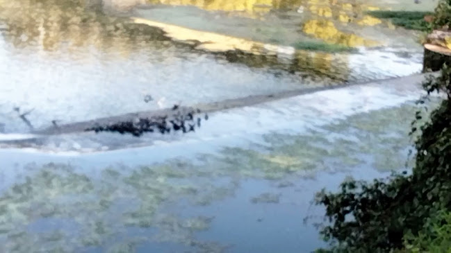 Maison Mauranes - Tarn