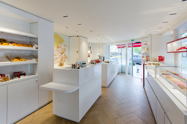 Comentarii opinii despre Dalloyau