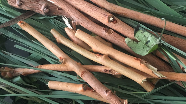 Mary&Jenna traiteur - Cergy