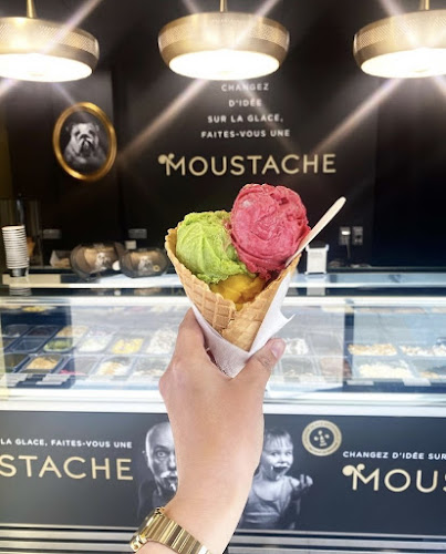 Comentarii opinii despre Glaces Moustache-Artisan Glacier