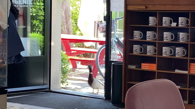 Opinii despre Eugénie în L'Isle-sur-la-Sorgue - Restauration