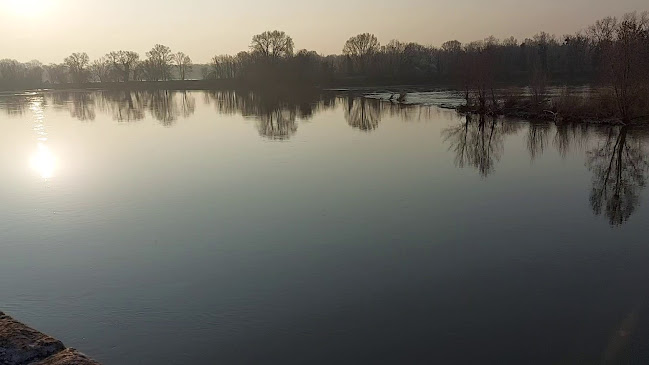 Opinii despre Le Cabinet Vert în Orléans - Restauration