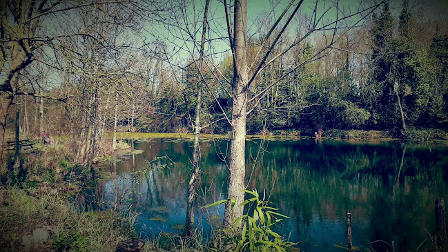 Opinii despre Food truck - La Gourmande în Joué-lès-Tours - Restauration