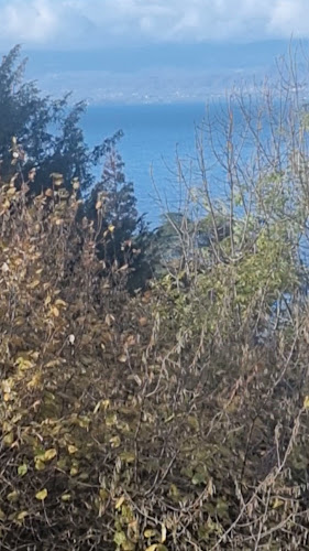 Opinii despre My Ami - Fifties American Diner în Thonon-les-Bains - Restauration