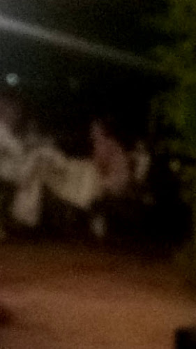 Restaurant La Famiglia Junior - Restauration