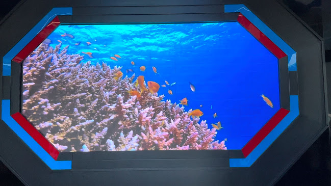 Atlantis - Restauration