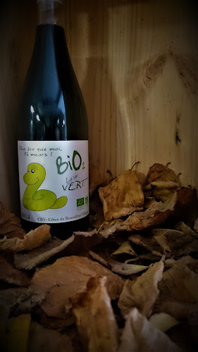 1 Rue Alfred de Vigny, 37390 Notre-Dame-d'Oé