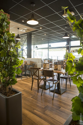 Del Arte - Restauration