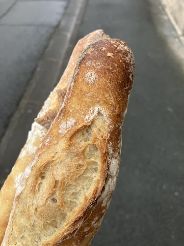 Comentarii opinii despre O PAINS