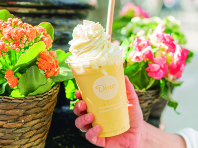 Comentarii opinii despre Gelati Dino