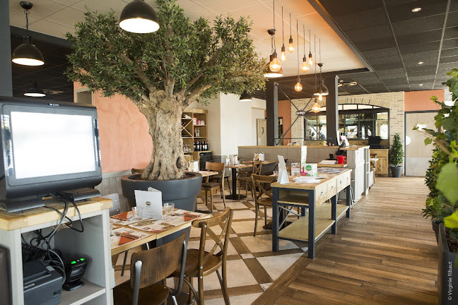 Comentarii opinii despre Del Arte