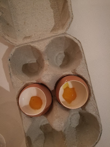 JY'S - Schillinger Jean-Yves 2 étoiles Michelin Colmar - Restauration