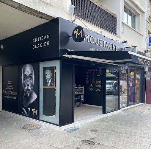 Glaces Moustache-Artisan Glacier