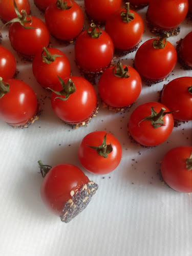 Comentarii opinii despre LES TONTONS BRINGUEURS