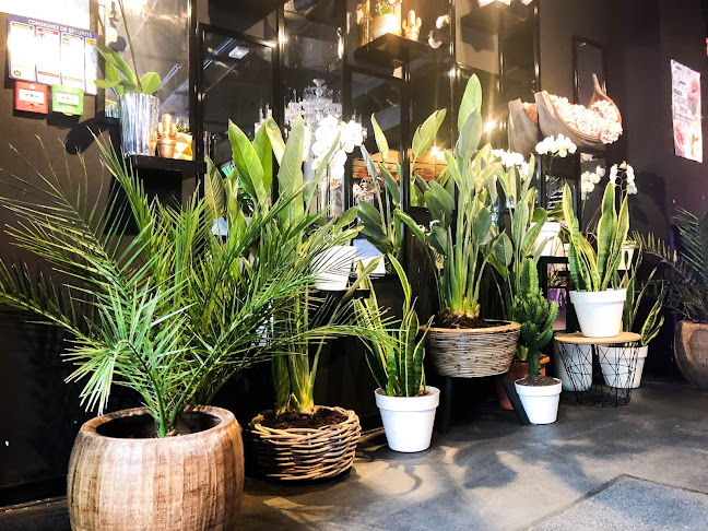 Soho Urban Food - Restauration