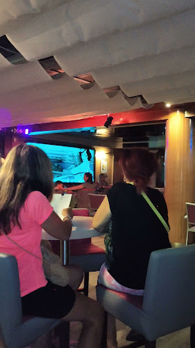 Comentarii opinii despre Restaurant pizzeria glacier Le Café Bleu