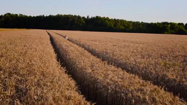 Opinii despre Boulangerie Patisserie Marlau în Blois - Restauration