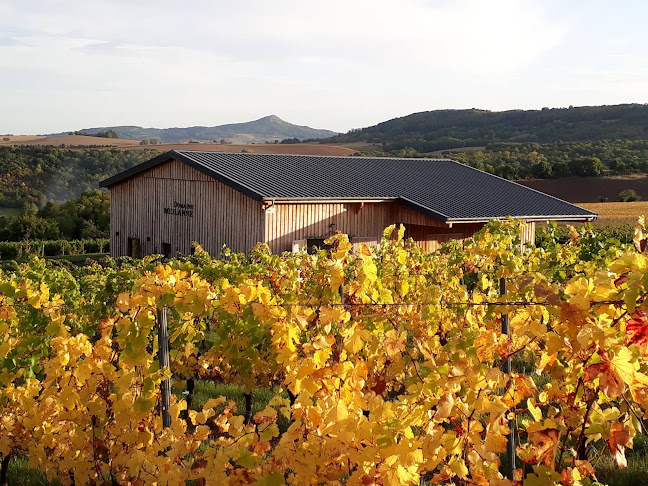 Domaine Miolanne - Vignoble & Bar à vin éphémère