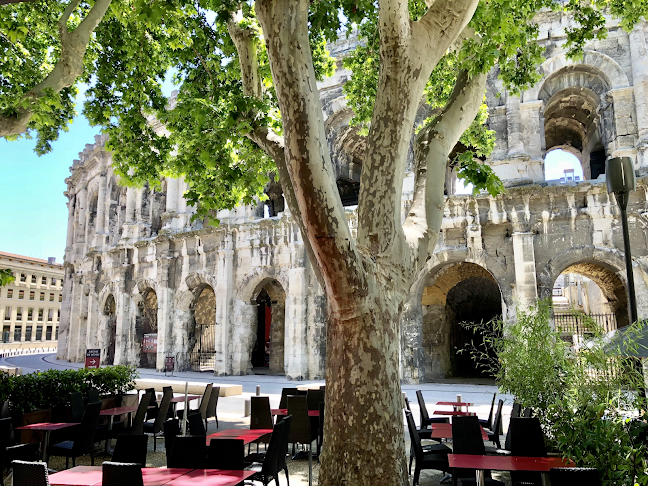 Brasserie des Arènes Nîmes