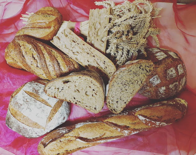 Opinii despre Les Délices de St André în Saint-André-de-l'Eure - Restauration