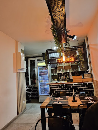 Comentarii opinii despre YŌKOZO