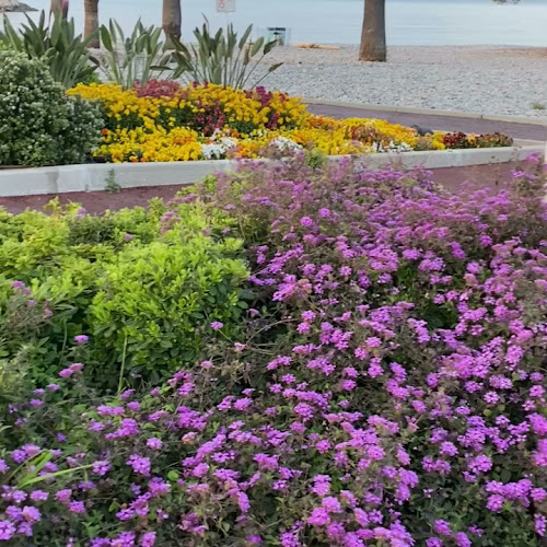 Opinii despre Fleur de Lotus în Cagnes-sur-Mer - Restauration