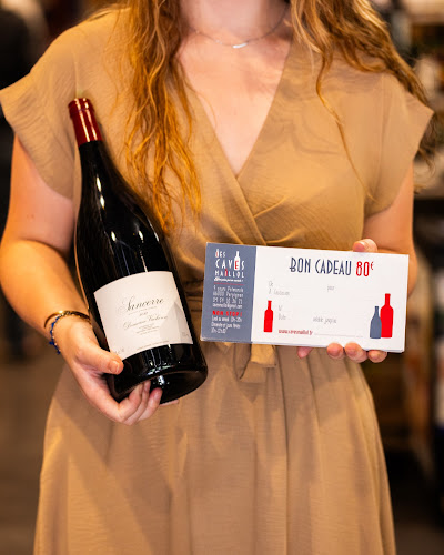 Comentarii opinii despre Les Caves Maillol