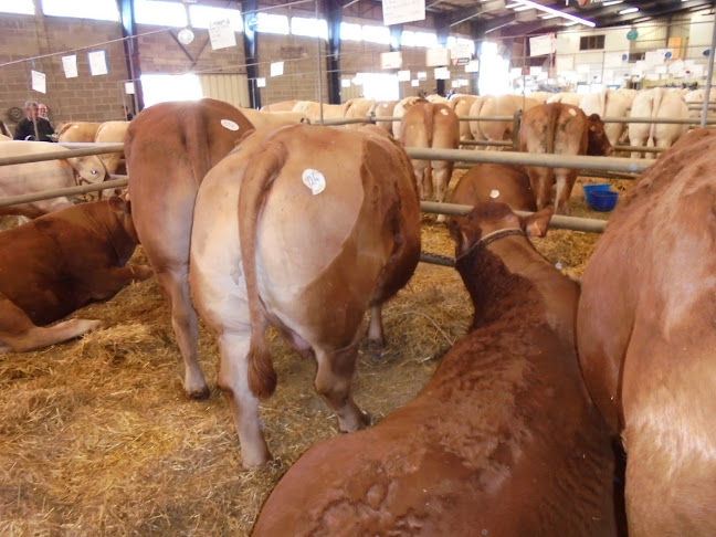 la boucherie du Poulbot