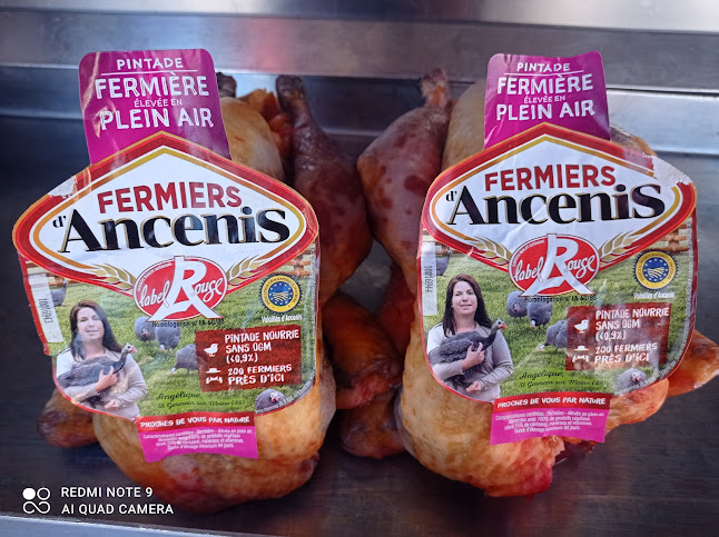 Comentarii opinii despre L'instant poulet rôtisserie