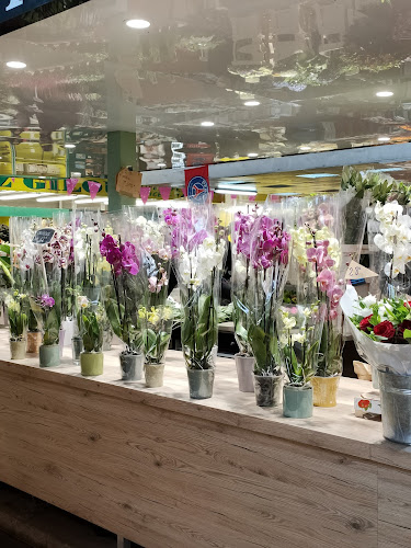 Marché Le Plessis-Robinson - Le Plessis-Robinson