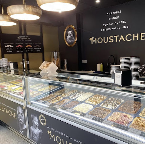 Glaces Moustache-Artisan Glacier