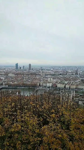 Opinii despre Elephant & Castle în Lyon - Restauration