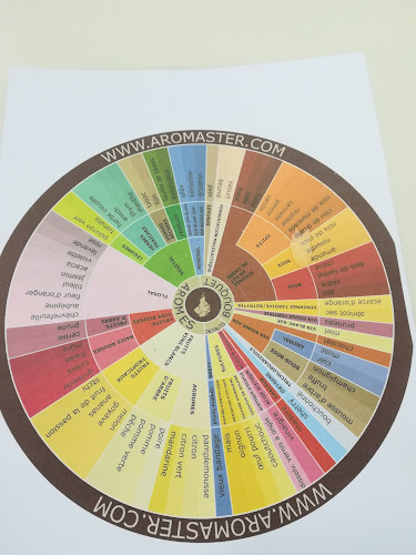 Max Bordeaux - Bordeaux