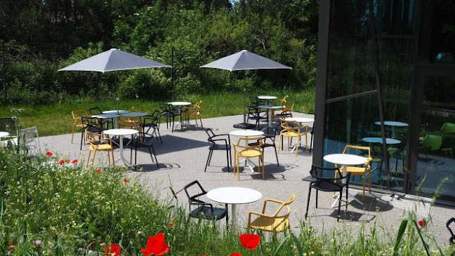 Opinii despre Espace 5&5 în Valence - Restauration