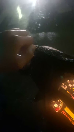 Restaurant Les Lanciers - Restauration