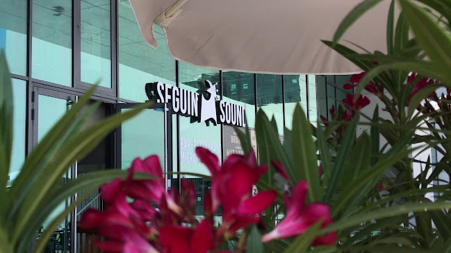 Seguin Sound - Restauration