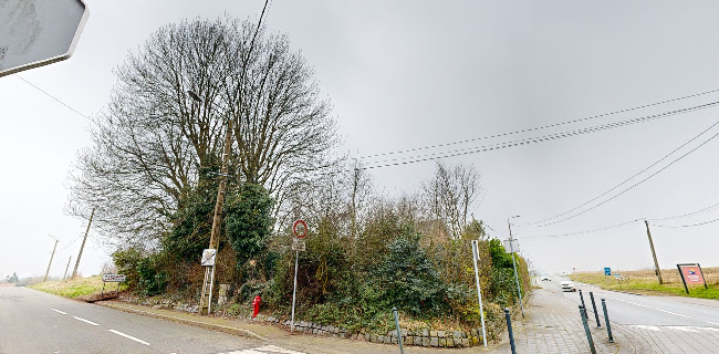 Comentarii opinii despre Estaminet du Chemin Vert