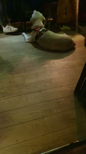 Mademoiselle Suzette - Le Chesnay-Rocquencourt